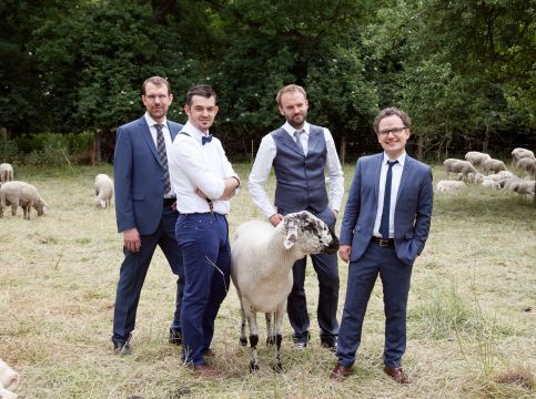 Das Quartett auf einer Schafweide