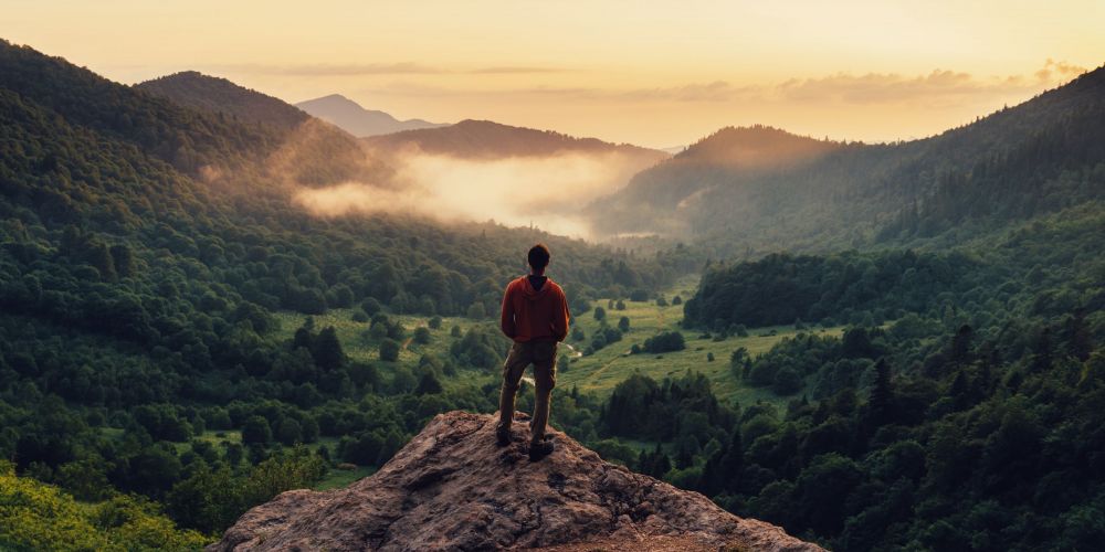 Mann schaut über bewaldetes Land