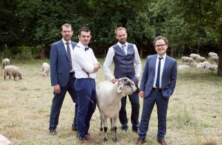 Das Quartett auf einer Schafweide
